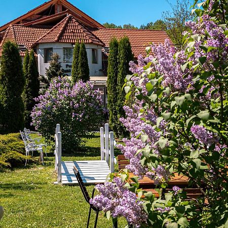 Pensiunea Poiana Avrigului Buitenkant foto