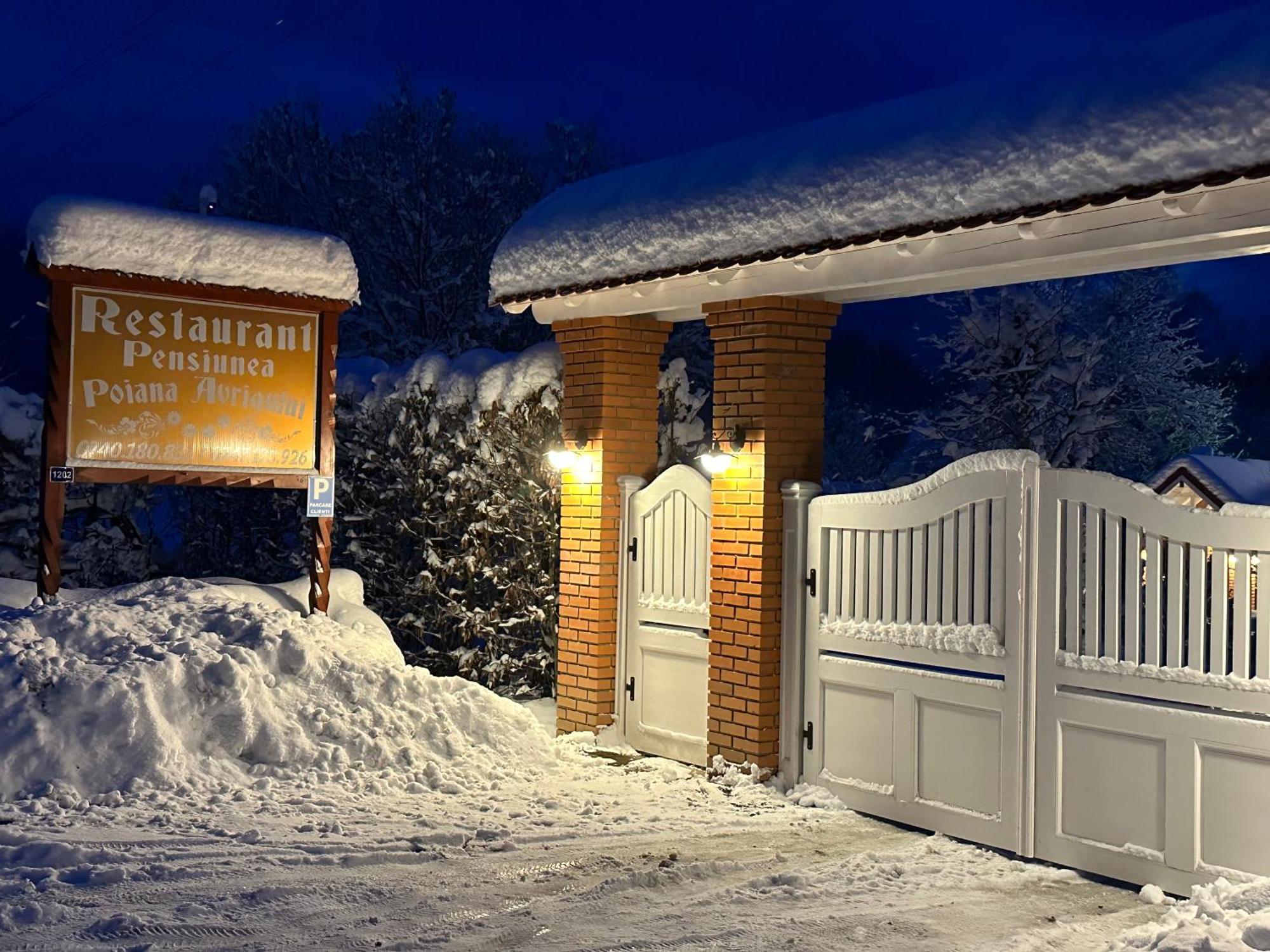 Pensiunea Poiana Avrigului Buitenkant foto