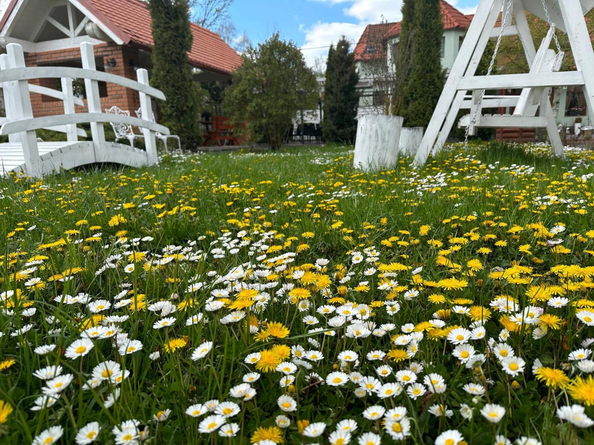 Pensiunea Poiana Avrigului Buitenkant foto