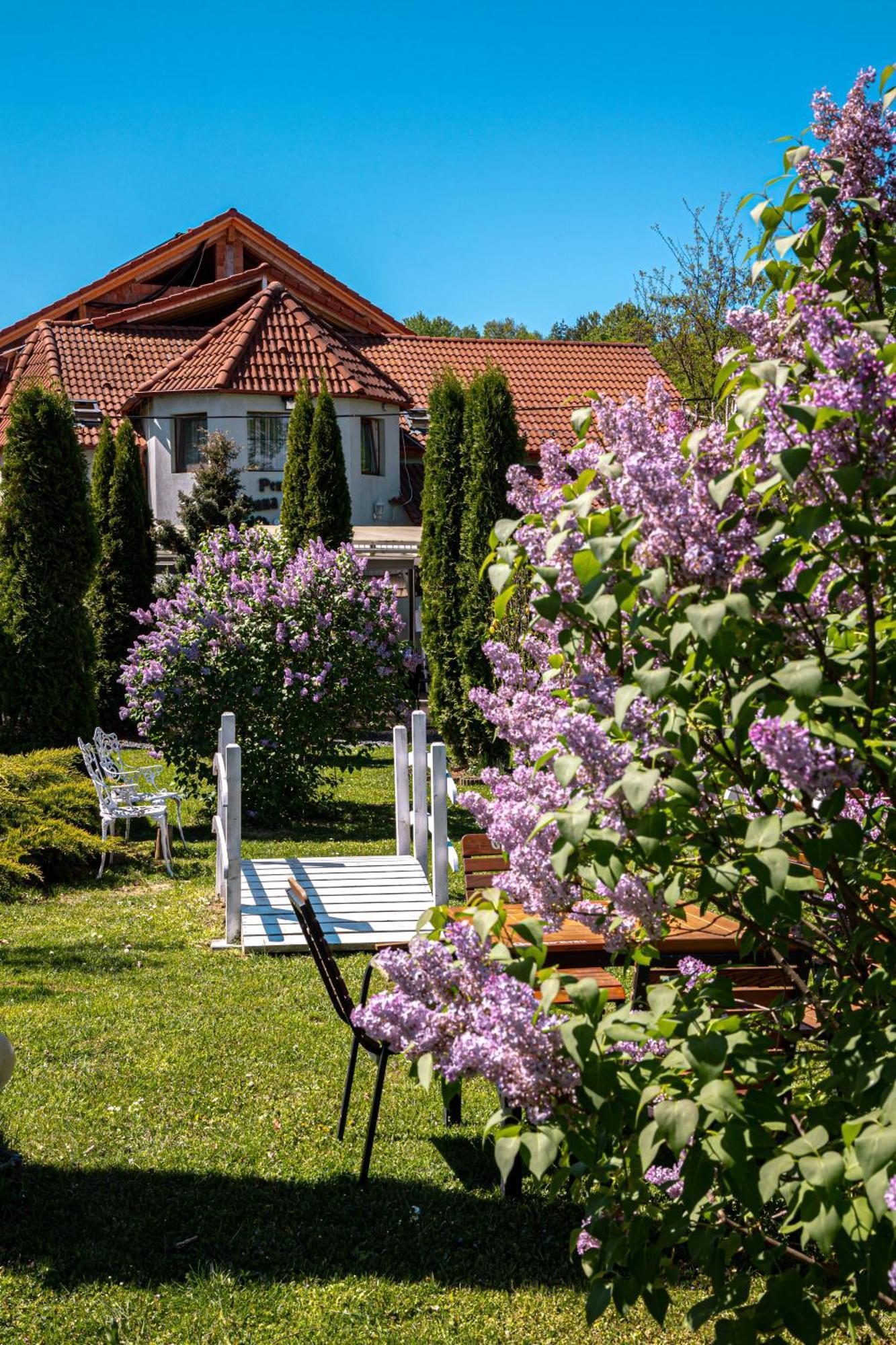 Pensiunea Poiana Avrigului Buitenkant foto