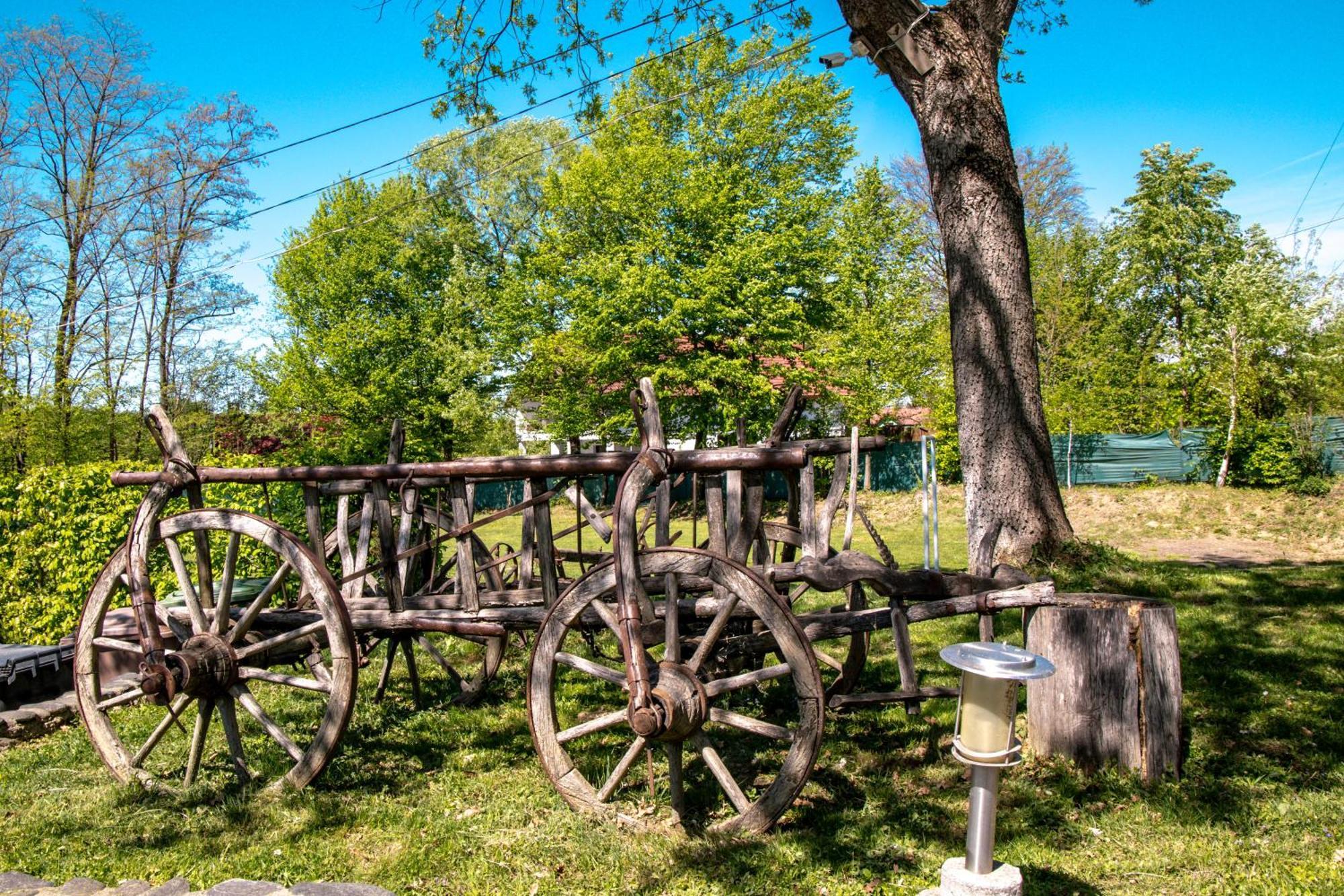 Pensiunea Poiana Avrigului Buitenkant foto